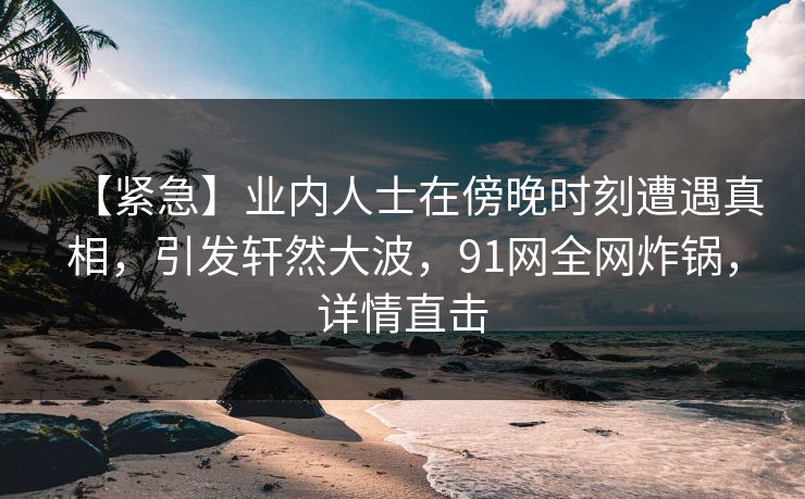 【紧急】业内人士在傍晚时刻遭遇真相，引发轩然大波，91网全网炸锅，详情直击