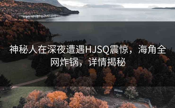 神秘人在深夜遭遇HJSQ震惊，海角全网炸锅，详情揭秘