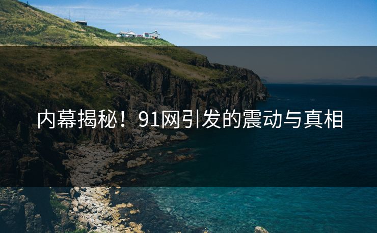 内幕揭秘！91网引发的震动与真相