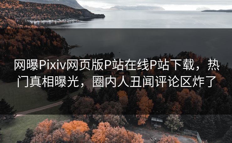 网曝Pixiv网页版P站在线P站下载，热门真相曝光，圈内人丑闻评论区炸了