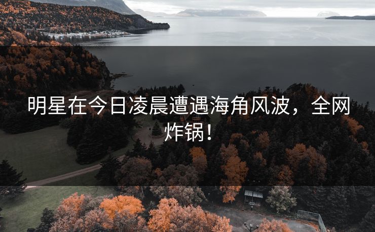 明星在今日凌晨遭遇海角风波，全网炸锅！