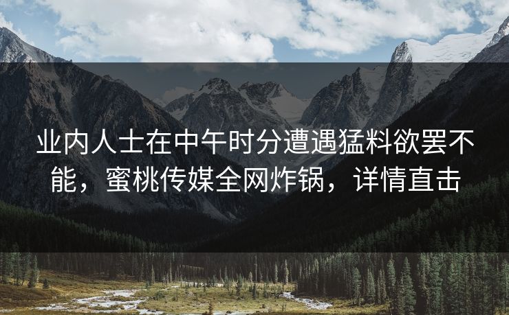 业内人士在中午时分遭遇猛料欲罢不能，蜜桃传媒全网炸锅，详情直击