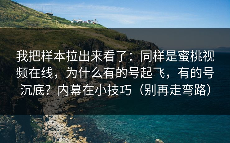 我把样本拉出来看了：同样是蜜桃视频在线，为什么有的号起飞，有的号沉底？内幕在小技巧（别再走弯路）